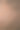 橡树树皮纹理图片下载