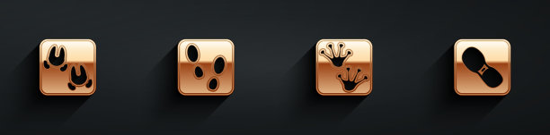 设野猪爪印人爪印图片下载