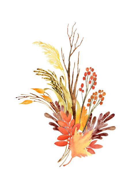 水彩插图。图片下载