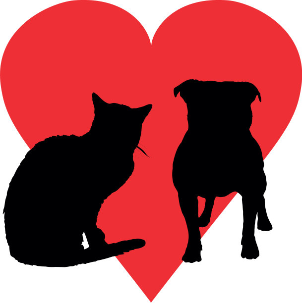 狗和猫的头部与心脏在白色背景图片下载
