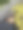 拿铁的图片下载