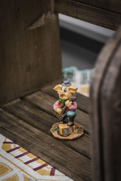 小猪侏儒弹吉他的垂直镜头图片下载