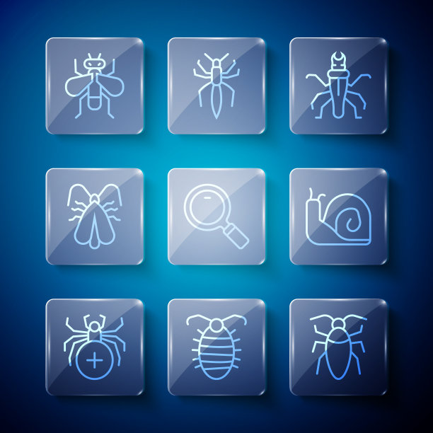 设线蜘蛛幼虫虫蟑螂白蚁图片下载