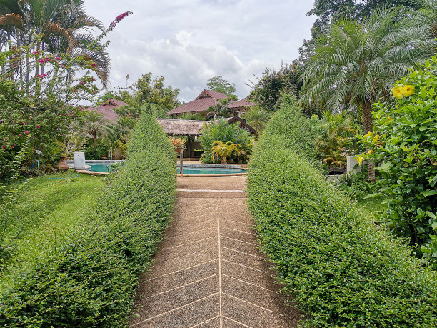 带游泳池的别墅，夏天，3D概念，泰国北部，第三张照片。图片下载