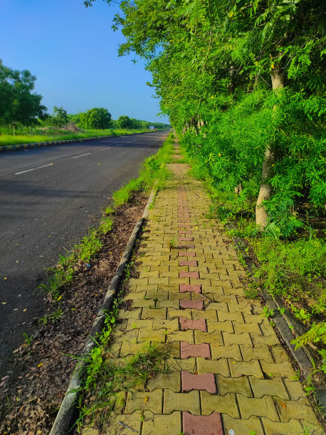 美丽的拍摄混凝土块人行道道路在公园的照片图片下载