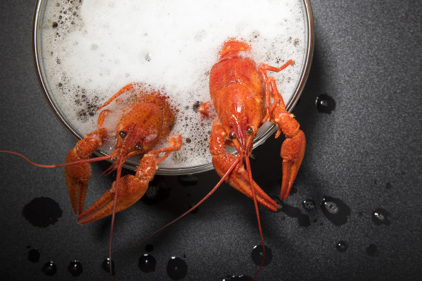 煮红小龙虾-开胃菜浸泡在啤酒中，就像桑拿或泡泡浴，创意有趣的照片图片下载