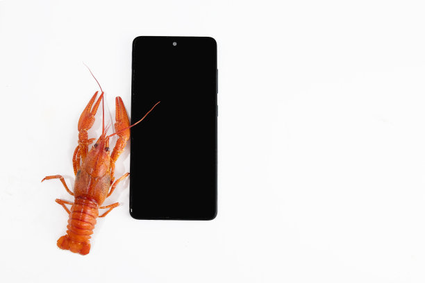 煮红小龙虾，爪子里有智能手机，有趣的照片用于星座或明信片布局，促进销售图片下载