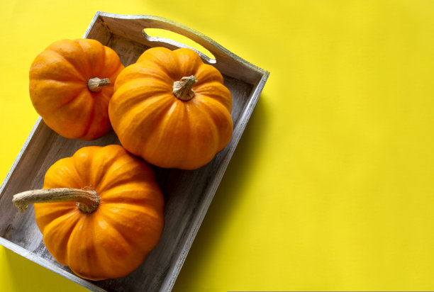 黄色背景与南瓜在篮子。篮子里的小南瓜图片下载