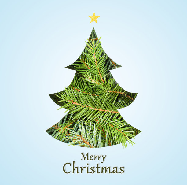 创造性的圣诞树图片下载