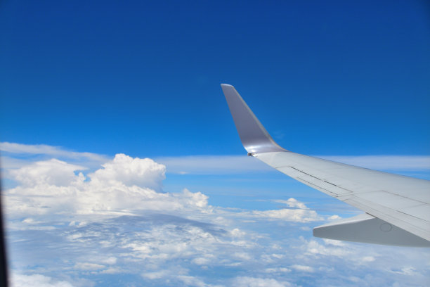 飞机的机翼图片下载