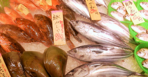 鱼市上有很多鱼图片下载