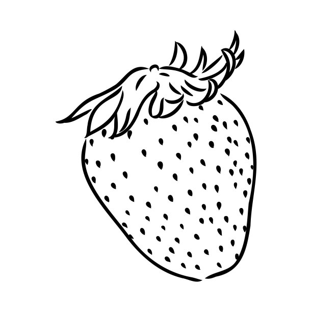 草莓手绘素描风格画图片下载