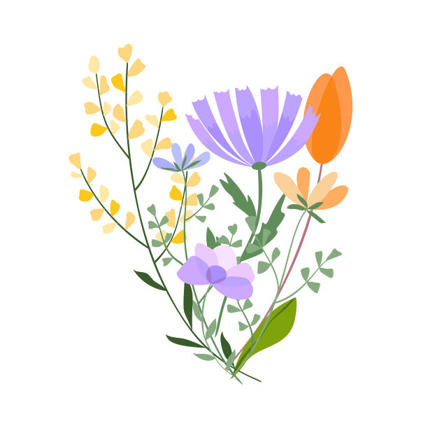 矢量花束插图。树叶，野花，树枝，插花。美丽的草地和明媚的春天的花朵组成。图片下载