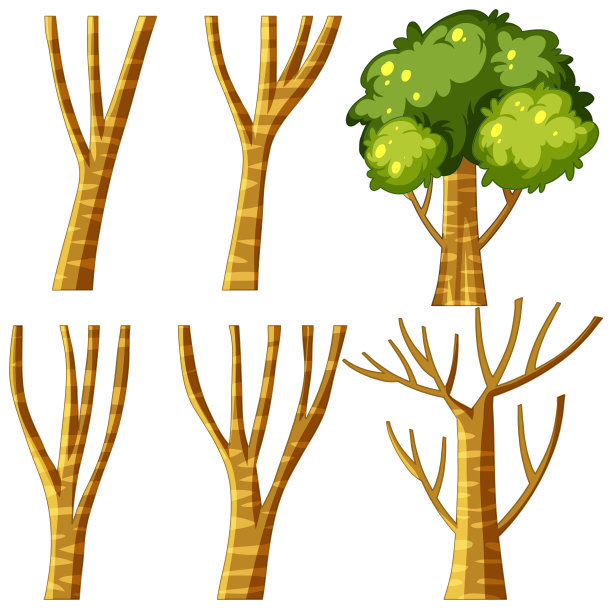 一组树和树枝在白色的背景图片下载