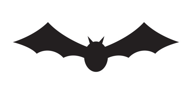 蝙蝠孤立在白色背景图片下载