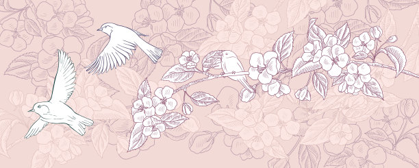 用鸟类绘制自然背景图片下载