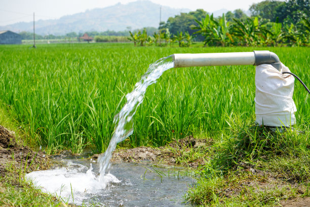 用抽水井灌溉稻田，将水从地下抽到稻田中。从灌溉渠抽水的抽水站。图片下载