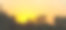 夕阳下橙色的天空和深色的树梢。图片下载