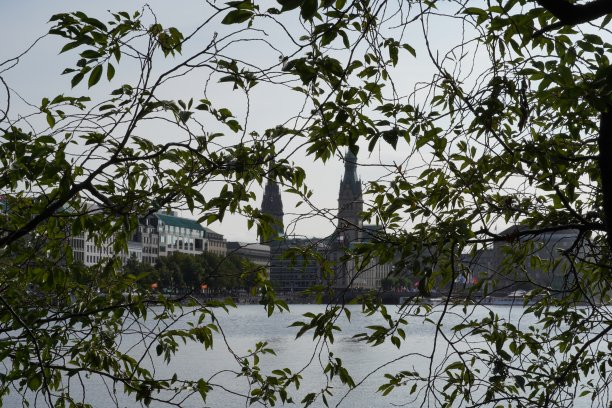 汉堡市政厅的剪影。图片下载