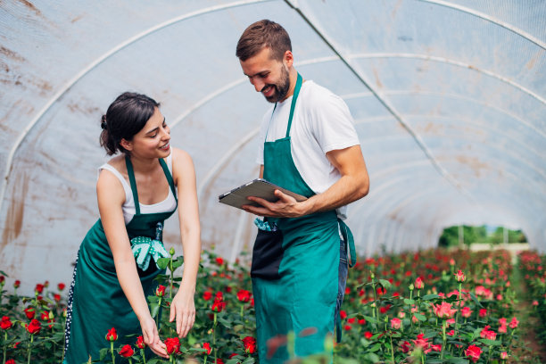 年轻的男女在温室里种植玫瑰图片下载