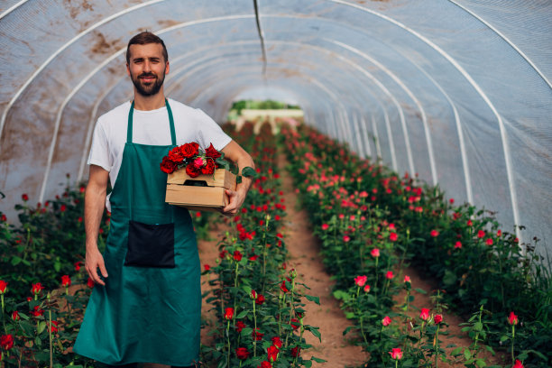 男植物学家的肖像，在温室里拿着一个装着玫瑰的箱子图片下载