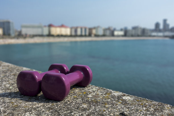 以海洋为背景的石头表面上的哑铃。图片下载