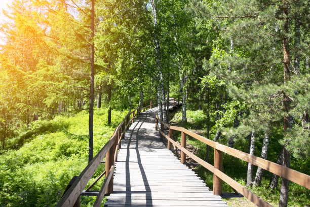 一条由带栏杆的木板铺成的小路穿过森林。太阳能照明图片下载