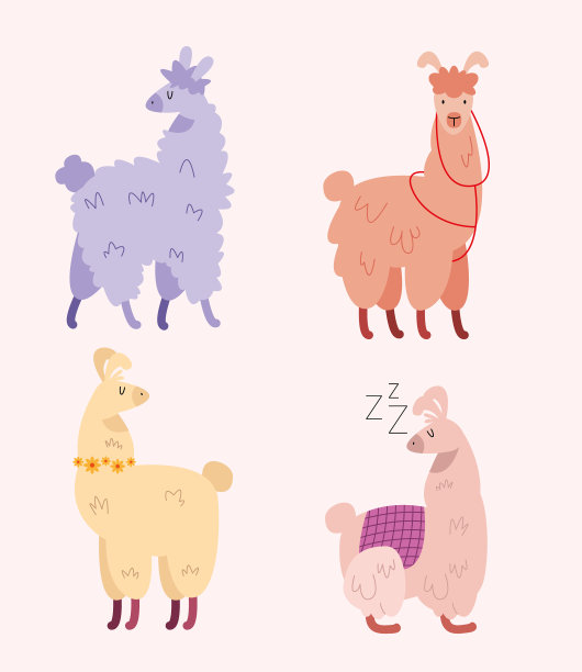 四个骆驼动物图片下载