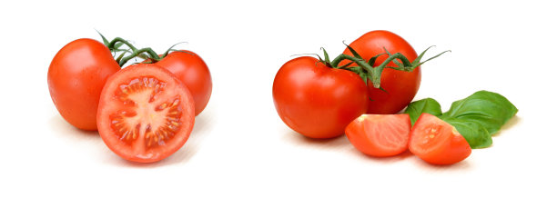 罗勒鲜番茄图片下载