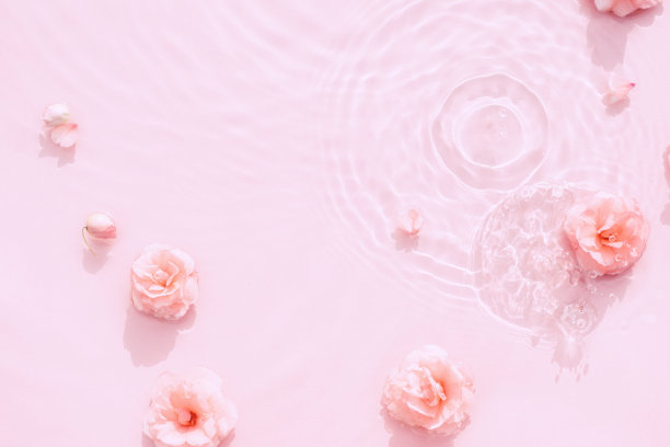 水美丽的背景。自然图案与粉红色玫瑰表面的透明水特写图片下载