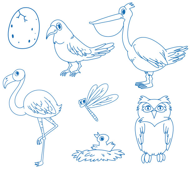 一张画着生物图案的纸图片下载