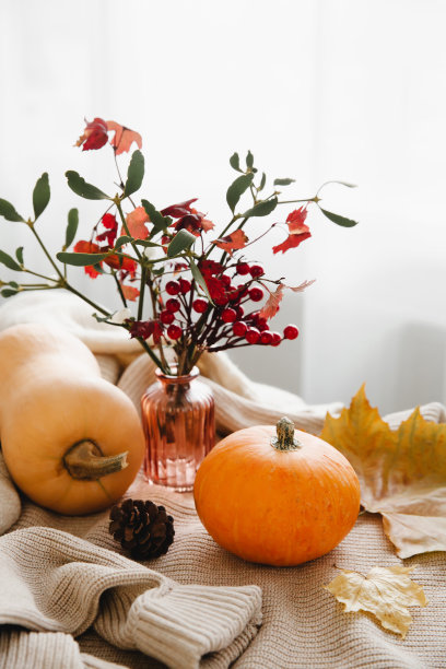 秋天惬意的心情构成。南瓜，花束，温暖的格纹。秋天，秋天，hygge家居装饰。垂直的照片。有选择性的重点。图片下载