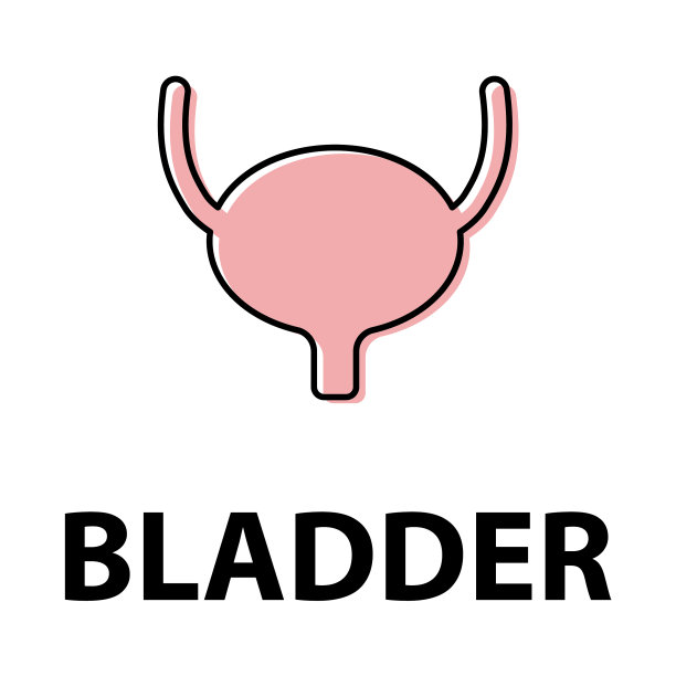 泌尿外科健康人体图标解剖医学身体图片下载