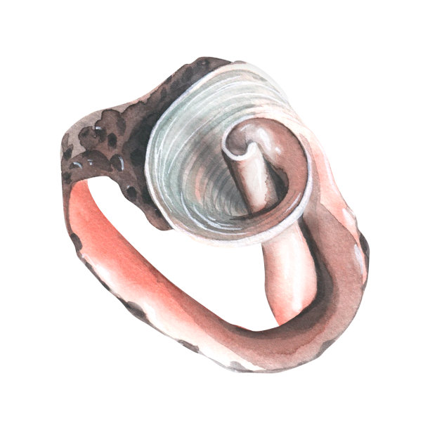 一个被毁坏的、破碎的贝壳。水彩插图。从一大群鲸鱼中分离出来的一个物体。用于装饰和设计，海洋和海滩的作品，印刷品，贴纸，明信片，海报。图片下载