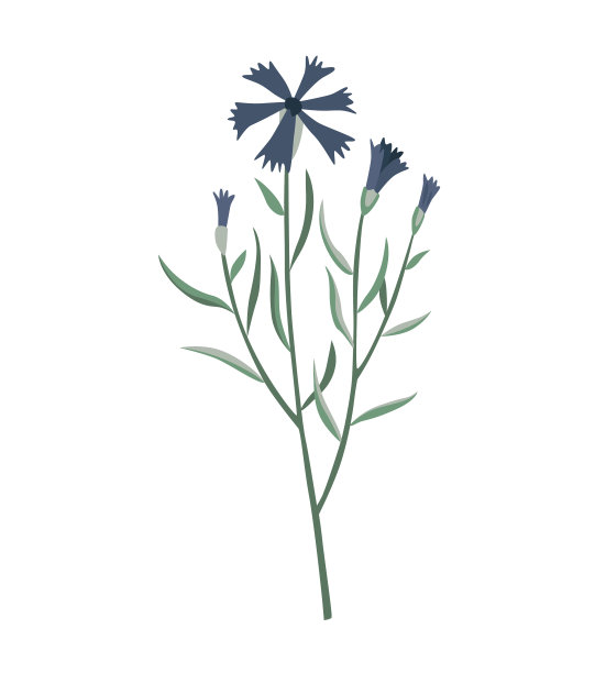 水彩中的花和叶的花元素图片下载