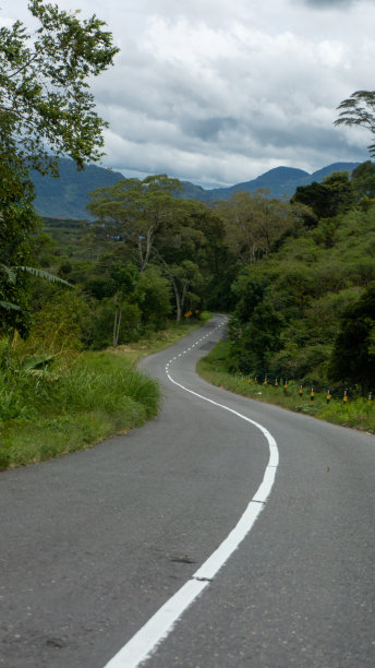 沥青公路，山景绿。空旷的道路与自然景观。公路旅行的概念图片下载