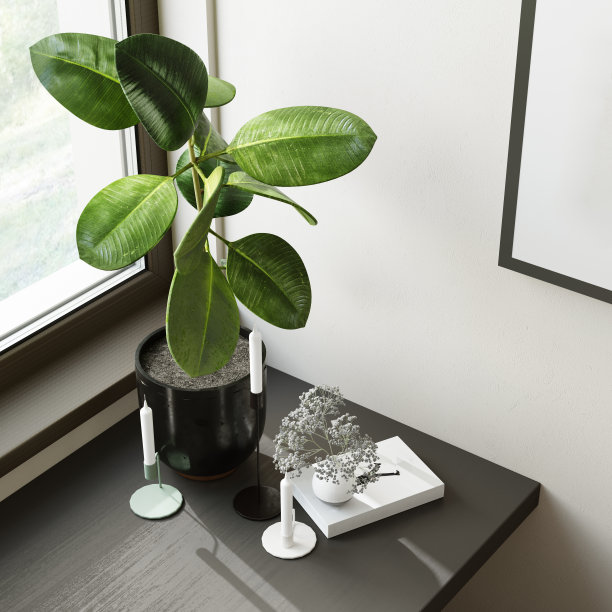 内部有橡胶榕树。窗台上的装饰。前视图。三维渲染图片下载