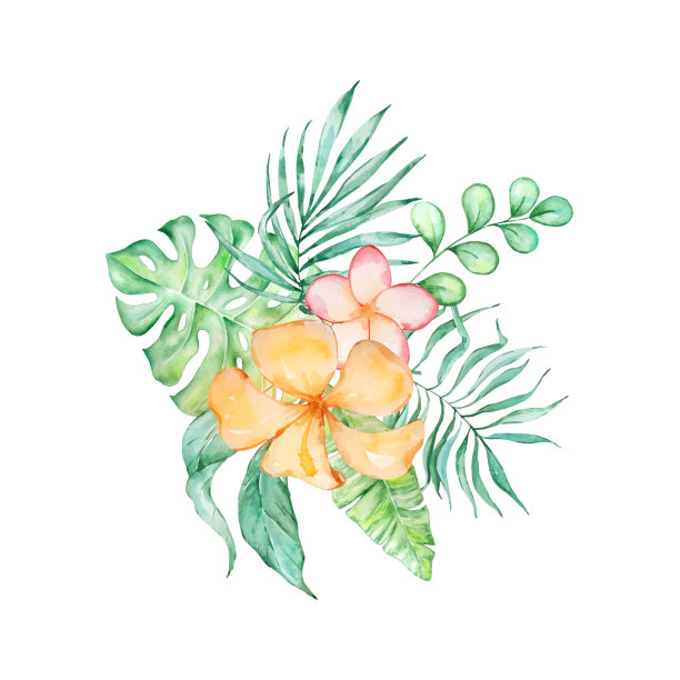 水彩热带木槿叶花束图片下载