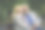 一对听力有问题的老年夫妇坐在户外的长凳上图片下载