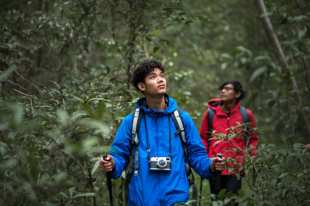 两个年轻的亚洲男性背包客徒步旅行，研究热带森林的自然生态旅游。游客徒步旅行去泰国欣赏热带森林之美。图片下载