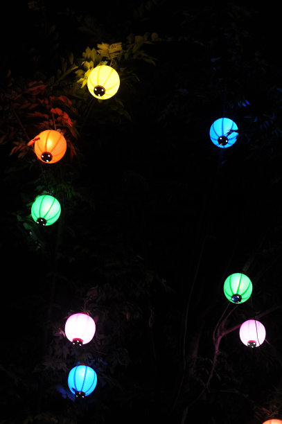在亚洲，晚上挂在树上的彩色纸灯笼在黑暗中发光图片下载