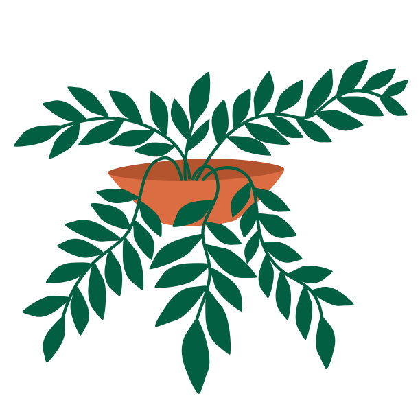 盆栽室内植物叶室内植物生长图片下载