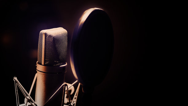 专业麦克风和防振麦架。录音棚制作中的麦克风。关闭麦克风和震波架的流行过滤器在演播室。电容麦克风对抗黑暗和拷贝空间。图片下载