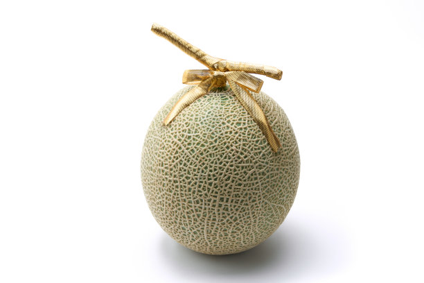 带着礼物丝带的厄尔甜瓜，白底照的图片下载