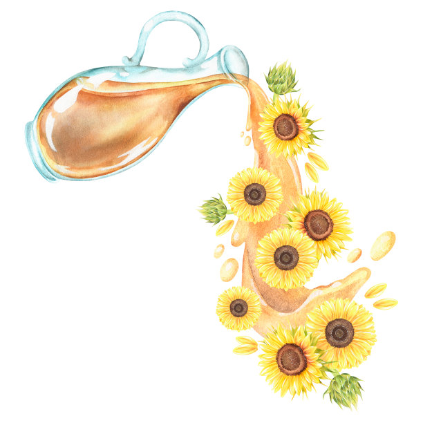 葵花籽油和鲜花从罐子里倒出来。水彩插图。孤立在白色背景上。图片下载
