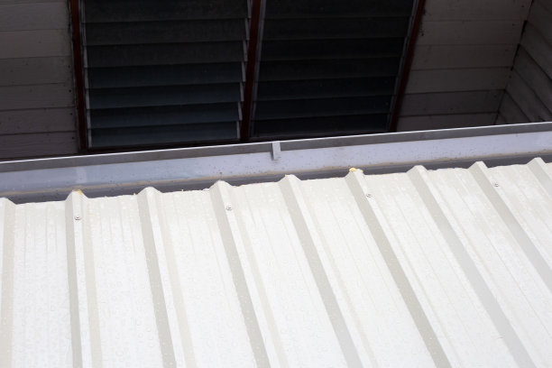 屋顶设有雨水槽。屋顶维修，钢板。堵漏屋顶图片下载