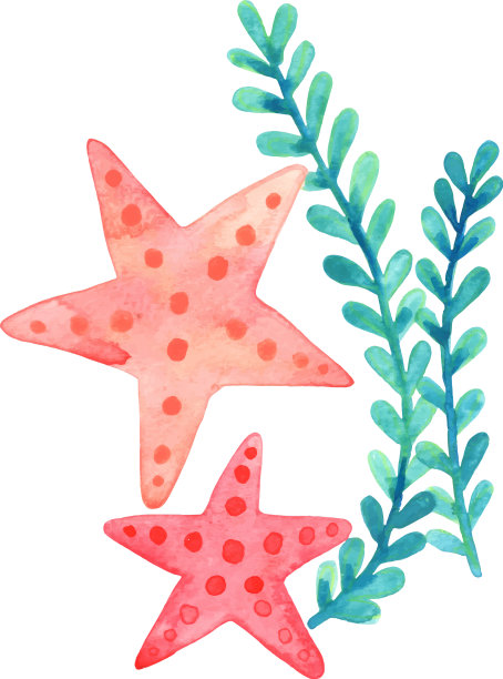 红色海星配海草水彩图片下载