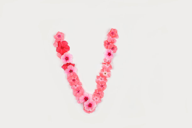 用真正的鲜花做成的字母V。创意花卉字体概念。独特的字母和数字的集合设计。春天，夏天，秋天和情人节，图片下载
