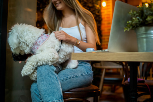 坐在Café和她的狗的年轻女子图片下载