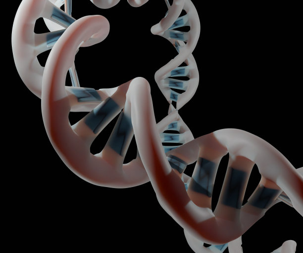 质粒是一种小的环状DNA分子图片下载